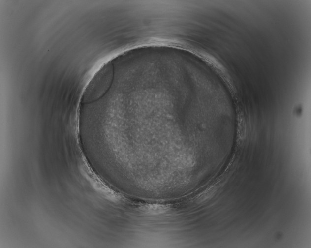 X0000116101280200912140948