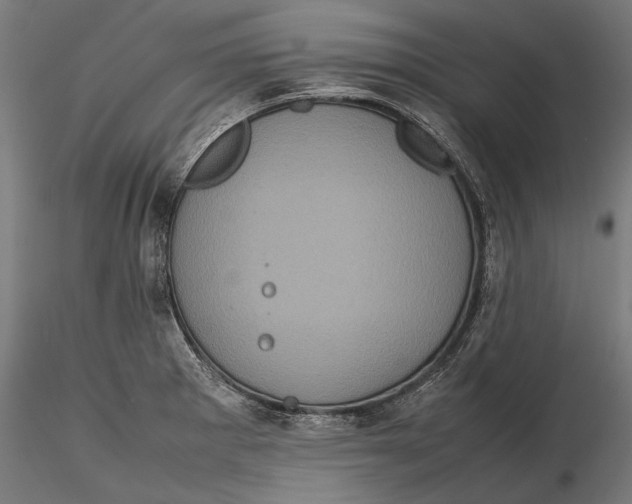 X0000116101281200912140948