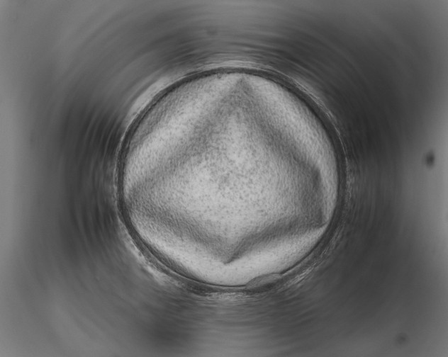 X0000116101282200912140948