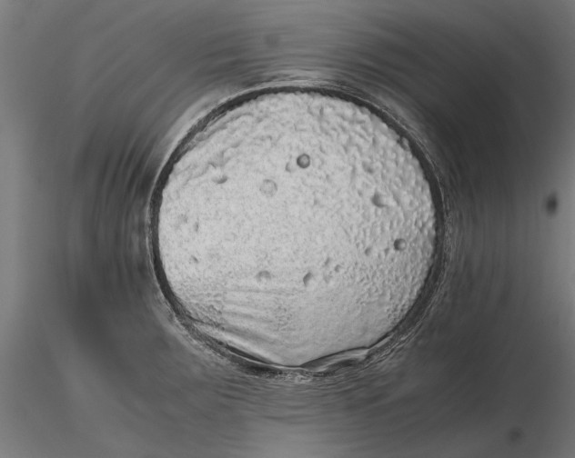 X0000116101283200912140948