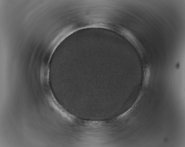 X0000116101284200912140948