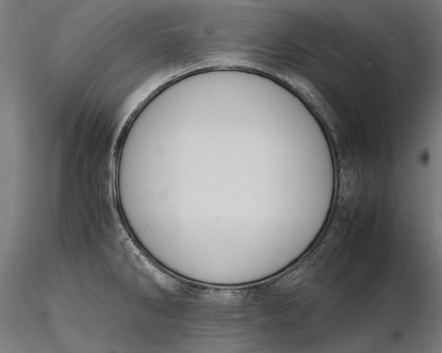 X0000116101286200912140948