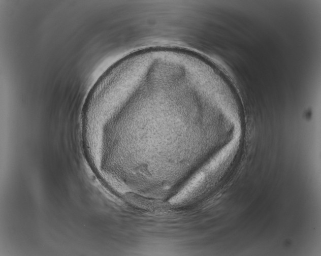 X0000116101287200912140948