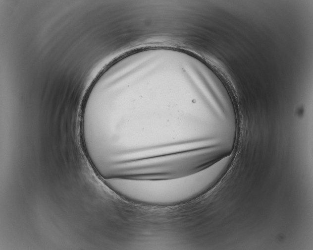 X0000116101288200912140948