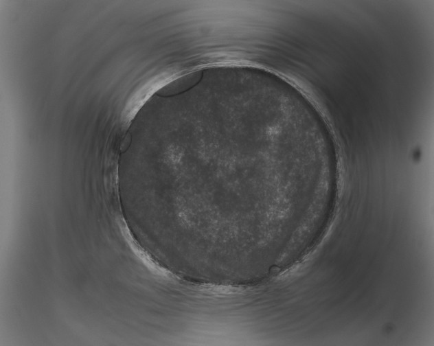 X0000116101289200912140948