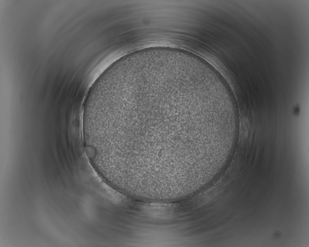 X0000116101290200912140948