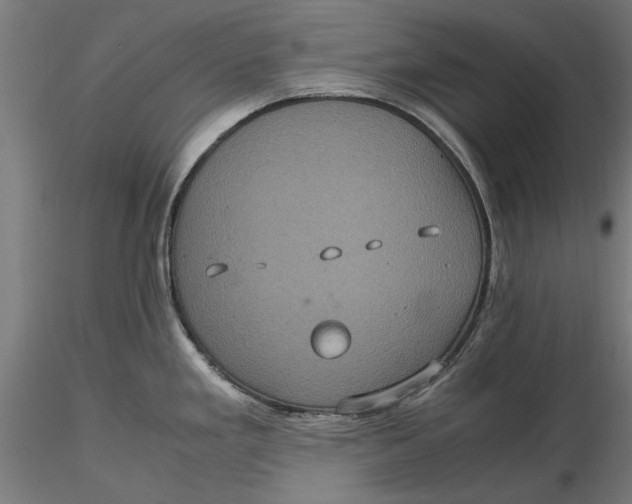 X0000116101293200912140948