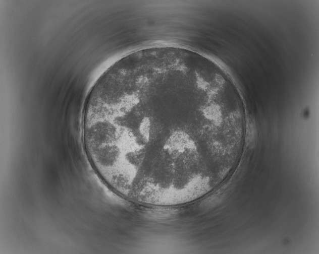 X0000116101294200912140948