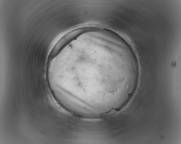 X0000116101296200912140948