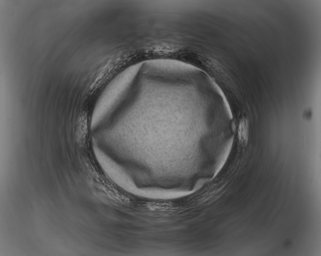 X0000116101299200912140947