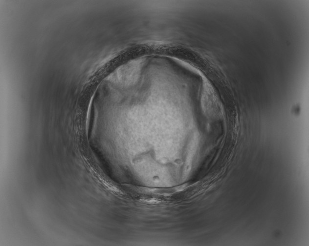 X0000116101301200912140947