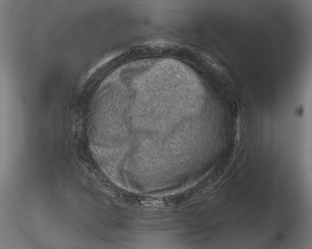 X0000116101302200912140947