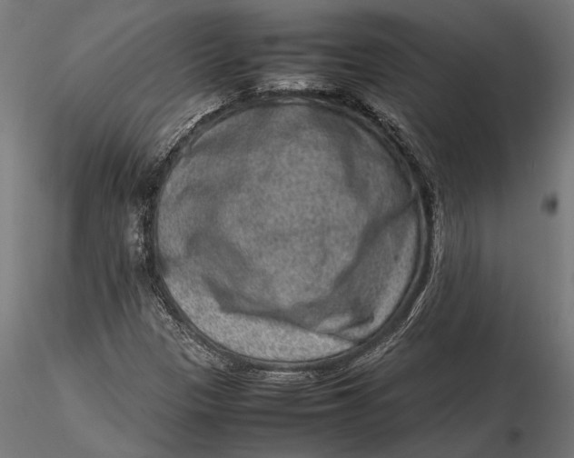 X0000116101305200912140947