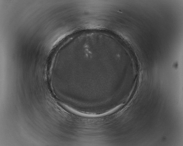 X0000116101306200912140947