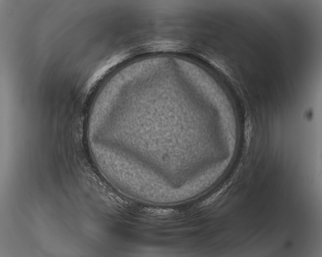 X0000116101309200912140948