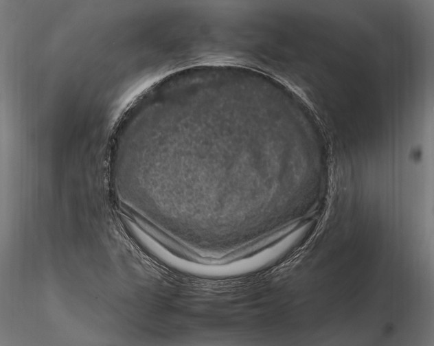 X0000116101311200912140948