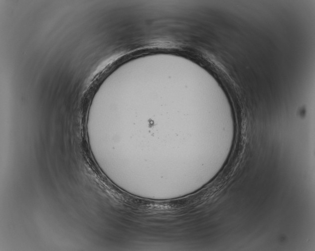 X0000116101315200912140948