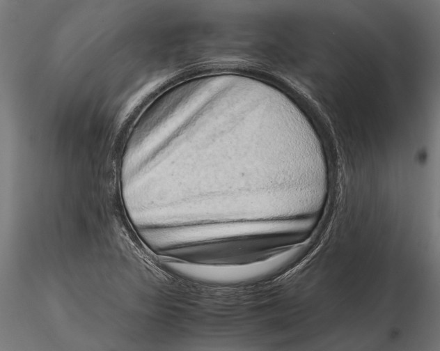 X0000116101317200912140948