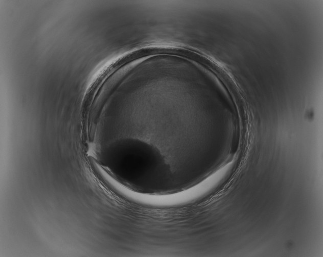 X0000116101319200912140948