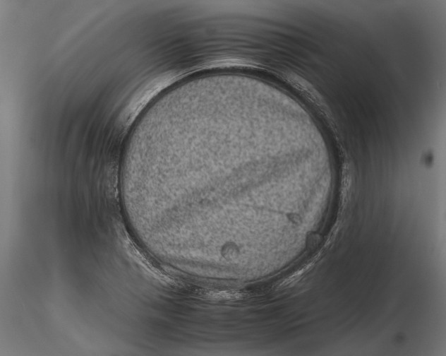 X0000116101321200912140948