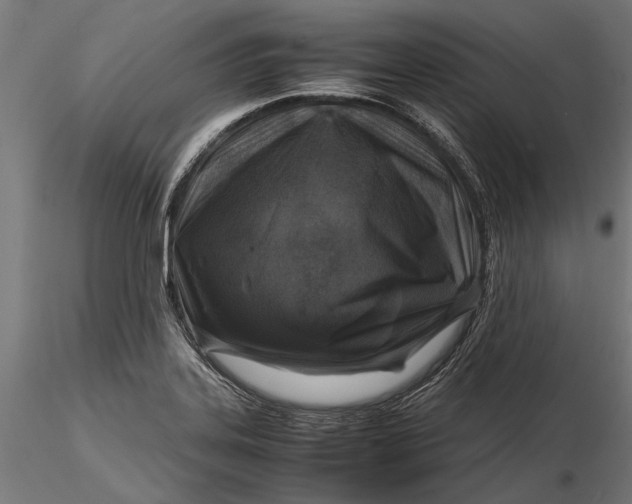 X0000116101323200912140948