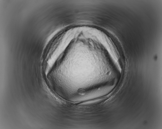 X0000116101325200912140948