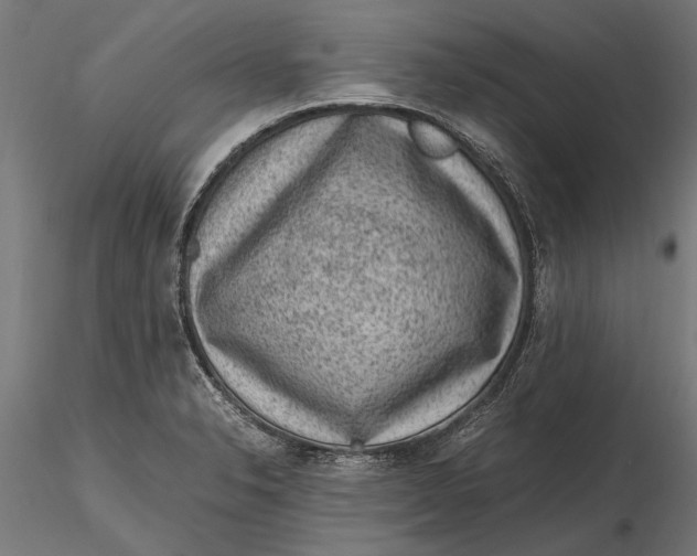 X0000116101326200912140948