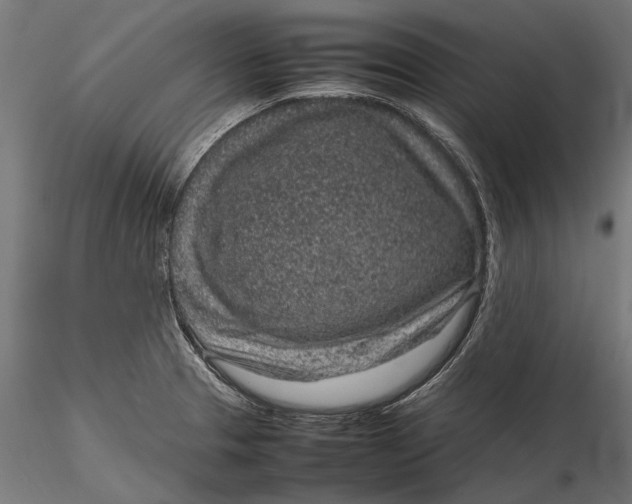 X0000116101329200912140948