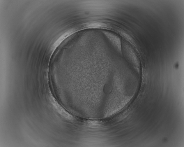 X0000116101330200912140948