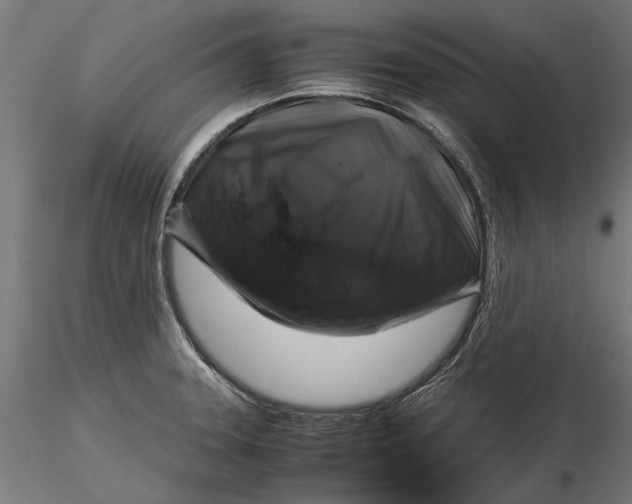 X0000116101331200912140948