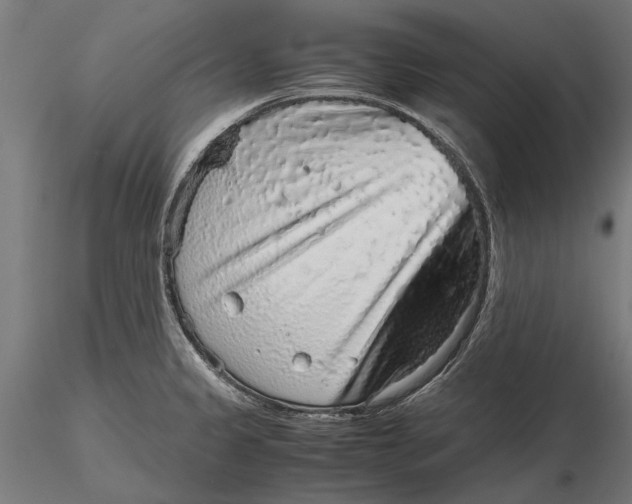 X0000116101333200912140948