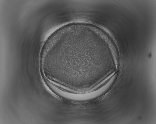 X0000116101335200912140948