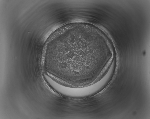 X0000116101337200912140948