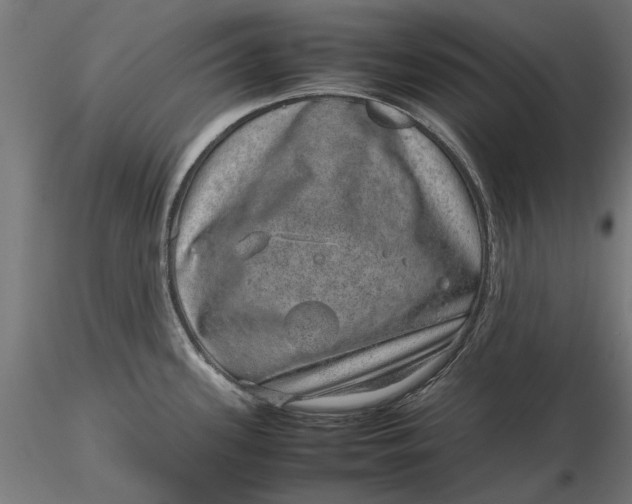 X0000116101339200912140948