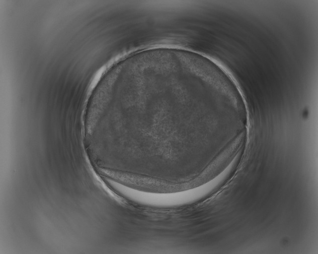 X0000116101341200912140948