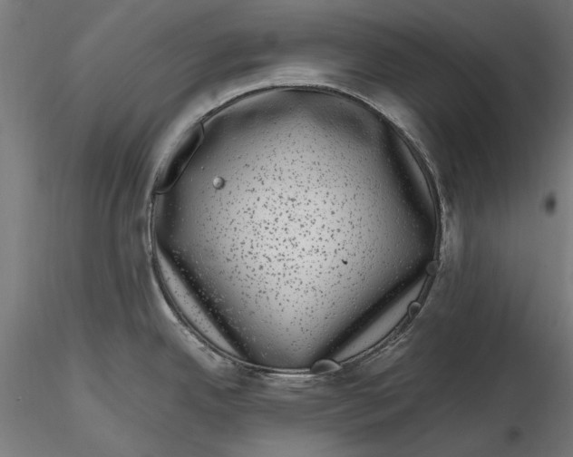 X0000116101342200912140948