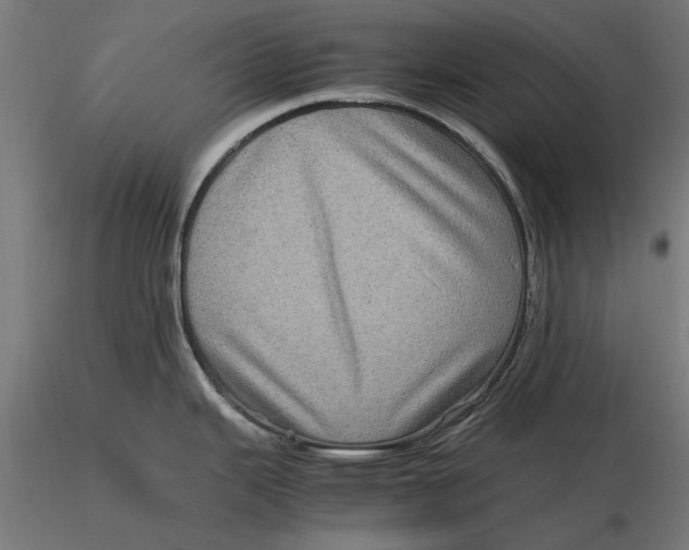 X0000116101343200912140948