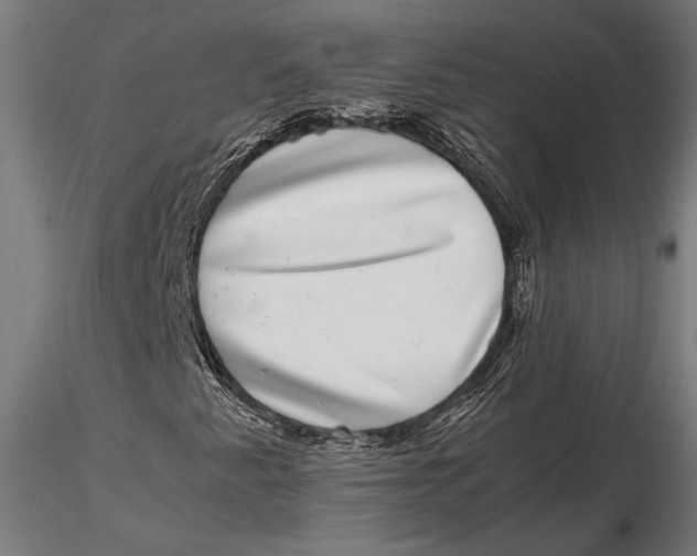 X0000116101345200912140947