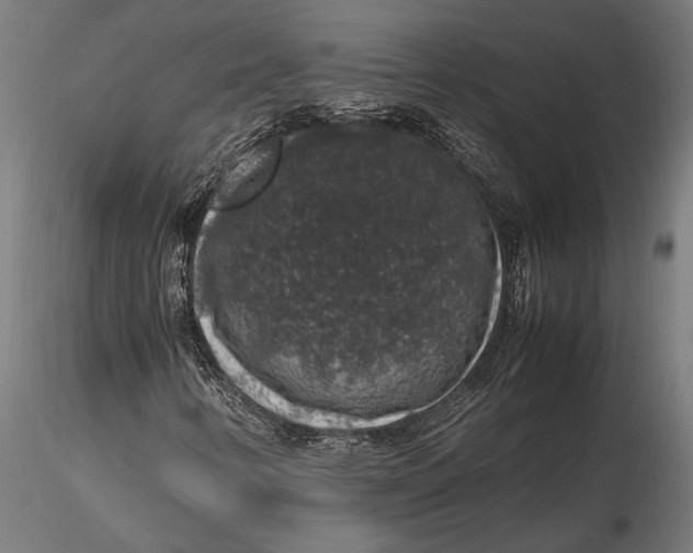 X0000116101346200912140947