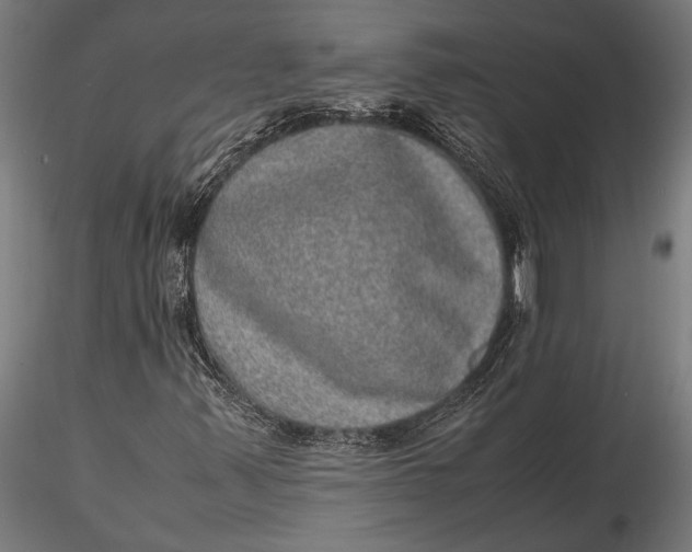 X0000116101347200912140947