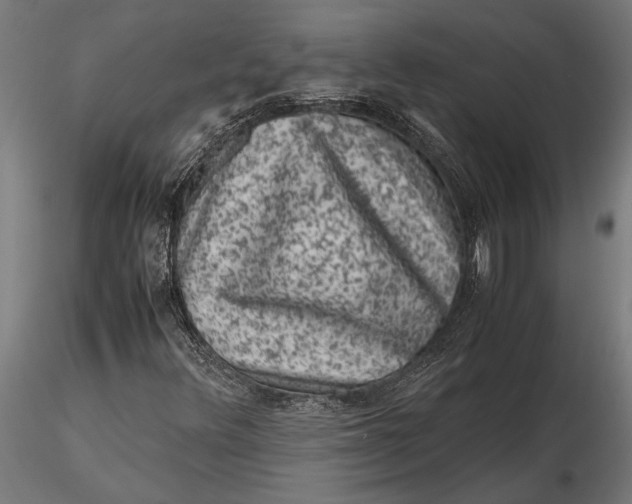 X0000116101348200912140947