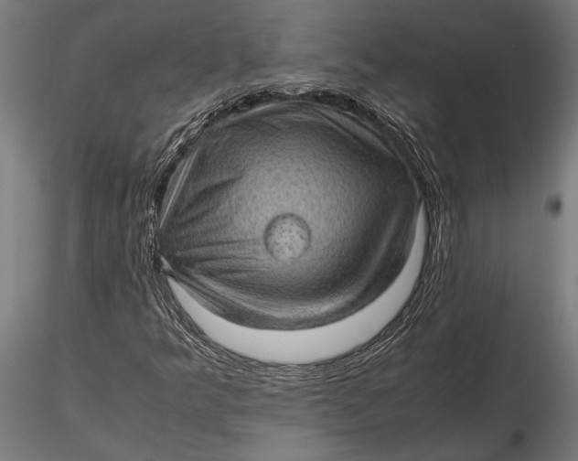 X0000116101349200912140947