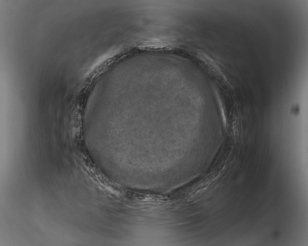 X0000116101350200912140947