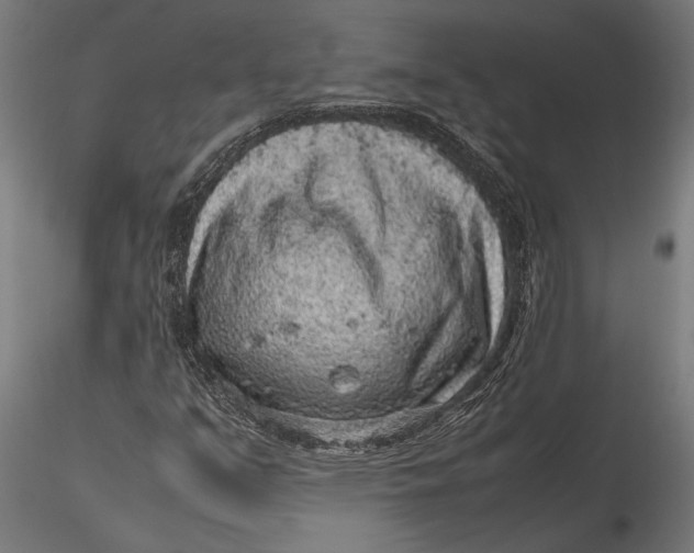 X0000116101351200912140947