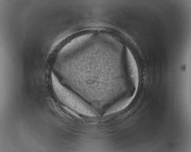 X0000116101352200912140947