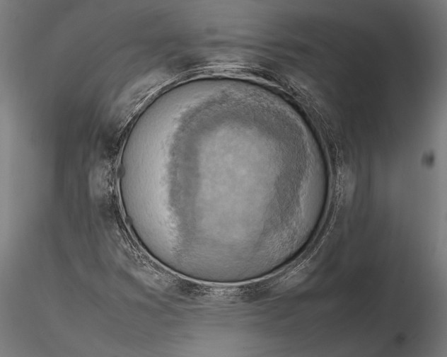 X0000116101353200912140947