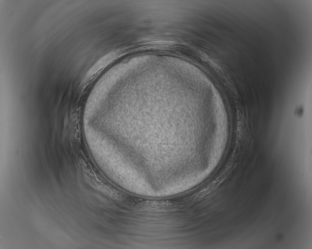 X0000116101354200912140947