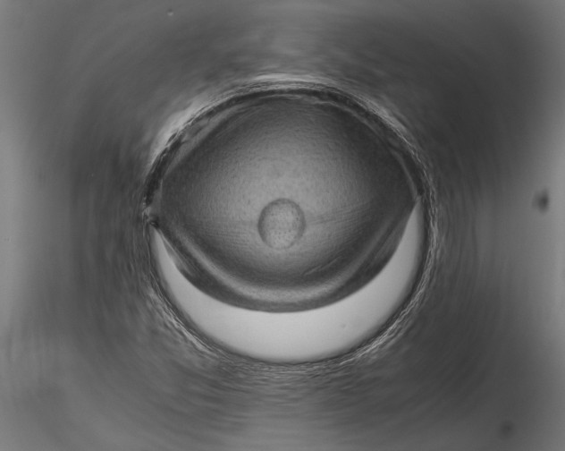 X0000116101357200912140947