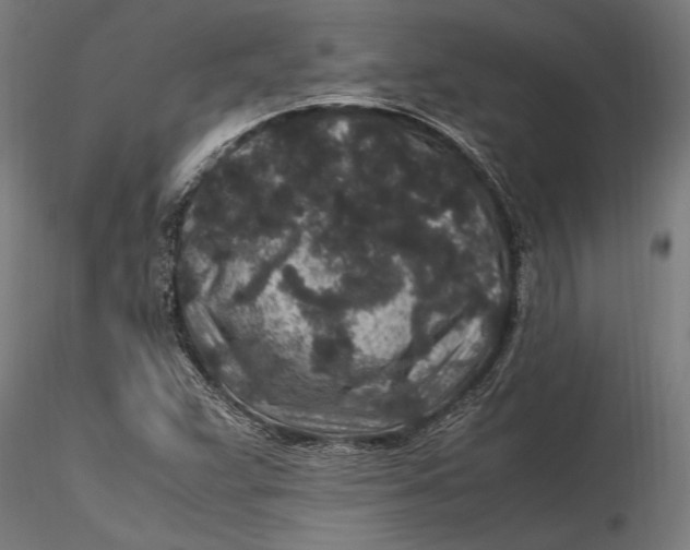 X0000116101359200912140947