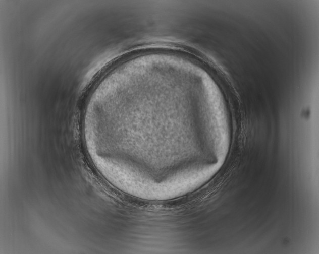 X0000116101360200912140947